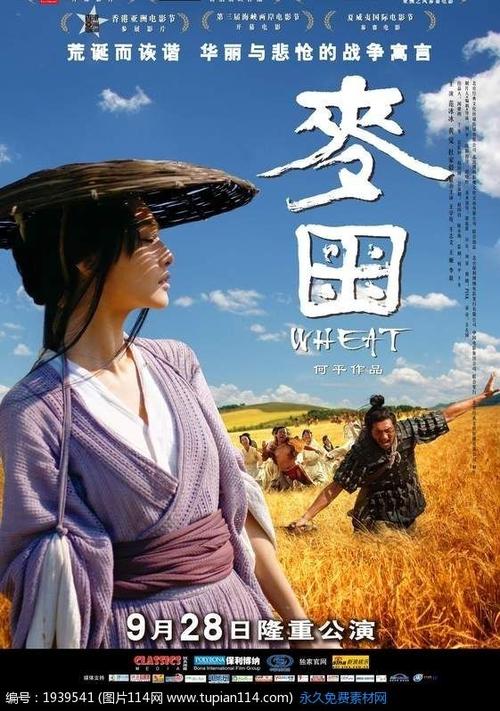 买假出生证明